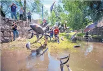  ?? EDDIE MOORE/JOURNAL ?? Santa Fe’s annual Children’s Fishing Derby, usually held in June on the Santa Fe River downtown, is being postponed this year because of a lack of river water after a dry winter. Last year, then-City Councilor Ron Trujillo dumped a load of rainbow...