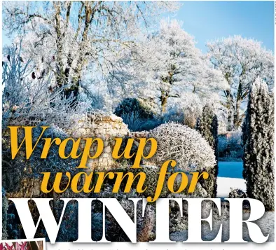  ?? ?? COLD SNAP:
A wintry scene in a garden in the Scottish borders