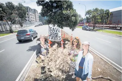  ?? Picture / Jason Oxenham ?? Protesters Penny Bright, Gael Baldock and Wendy Gray acted to prevent 24-year-old pohutukawa being moved to make way for a cycleway extension on Quay St.