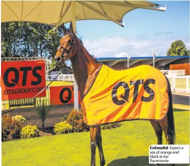  ??  ?? Colourful Expect a sea of orange and black at Ayr Racecourse