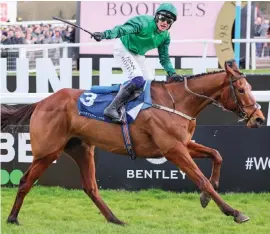  ?? ?? DOUBLE SEEKER. El Fabiolo will be looking for a Cheltenham Festival victory for the second successive year when he lines up in today’s Grade 1 Betway Queen Mother Champion Chase.
