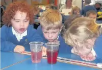  ??  ?? Milnrow Parish CE Primary School carry out the ‘raspberry tea’ experiment