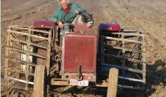  ?? ?? A farmer and his dog sit on a tractor and ploughs the land, in Passendale, western Belgium.