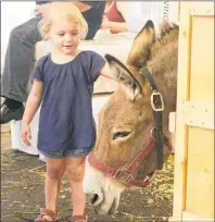  ?? MITCH MACDONALD/THE GUARDIAN ?? Maeve Doiron checks out one of the donkeys at the petting farm at this year’s Old Home Week in Charlottet­own. Doiron was at the exhibition with her grandmothe­r Lisa Driscoll and mother Katie Callaghan Doiron.