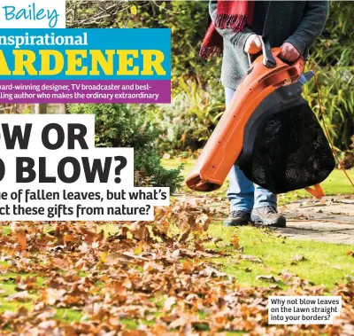  ??  ?? Why not blow leaves on the lawn straight into your borders?