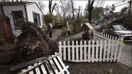  ?? KENT PORTER — THE PRESS DEMOCRAT VIA AP ?? Helena Zappelli surveys the damage to her yard and vehicle in Santa Rosa on Tuesday after a large tree fell over during a storm.