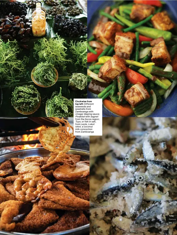  ??  ?? Clockwise from
top left: Different seaweeds and seashells from Zamboanga with vinegar dipping sauce;
Pinakbet with bagnet from the Ilocos region;
Tuyo, or fish in salt, from Leyte; Lokot
lokot, a coconut milk concoction from Zamboanga