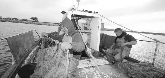  ?? Foto: Michael Allhoff ?? Touristen sollen bald Ausflüge auf Fischkutte­rn buchen können.