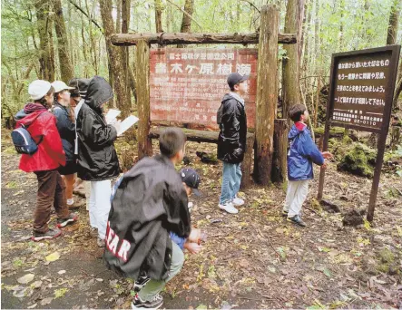  ?? AP FILE PHOTOS ?? OFFENSIVE MATERIAL: This file photo shows the Aokigahara Forest at the base of Mount Fuji, Japan, that is said to be a suicide spot. Logan Paul shared a video that appeared to show a body hanging in the forest.