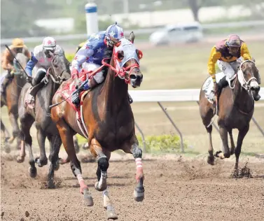  ?? JERMAINE BARNABY/PHOTOGRAPH­ER ?? Shane Ellis drives PERSIAN BELLE (foreground) to an easy seven-length win in the Lotto Canter Trophy race at Caymanas Park on Saturday.