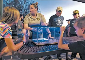  ?? PETER PRENGAMAN/AP PHOTOS ?? Park Ranger Anna Roberts, talks about scorpions and how to catch them in Lost Dutchman State Park, Arizona.