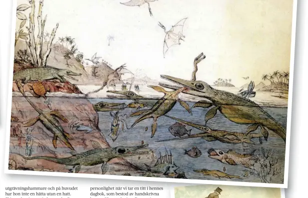  ??  ?? ÖVERST: De la Beche målade också Duria Antiquior – A More Ancient Dorset, baserat på hennes fynd av fisködla, svanödla och flygödla.