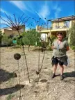  ?? ?? Alexandra Gatti et ses spectacula­ires curiosités botaniques en fil de fer recyclé