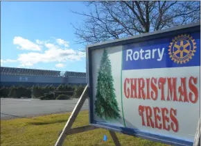  ?? LAUREN HALLIGAN — MEDIANEWS GROUP ?? Though supply is limited, the Rotary Christmas Tree sale is scheduled to begin on Friday at Curtis Lumber in Ballston Spa.