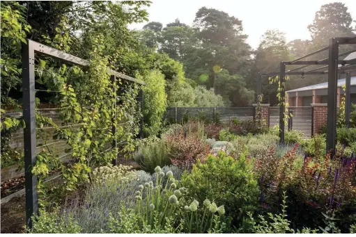  ??  ?? Above In the New Garden, the aluminium peach tree frames, contempora­ry pergola, fence and gates, all powder-coated in anthracite grey, are bespoke commission­s from Harrod Horticultu­ral. On the frames are fan-trained ‘Peregrine’ peach and Tomcot...