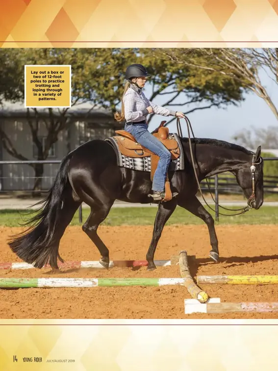  ??  ?? Lay out a box or two of 12-foot poles to practice trotting and loping through in a variety of patterns.