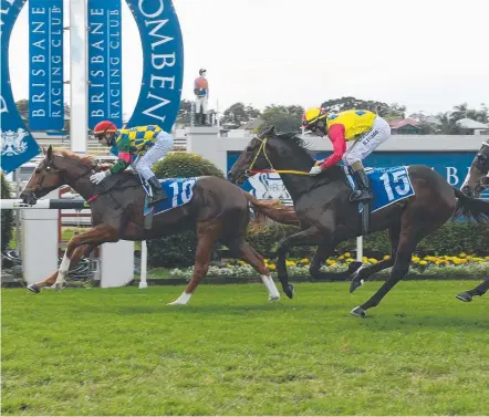  ?? Picture: TRACKSIDE PHOTOGRAPH­Y ?? Wack'em runs second to Mistral Thief in a race at Doomben.