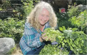  ?? JASON PAYNE ?? Maria Keating, an environmen­tal educator with the City Farmer Society, with seven different varieties of hops harvested at the Vancouver Compost Garden on Friday.