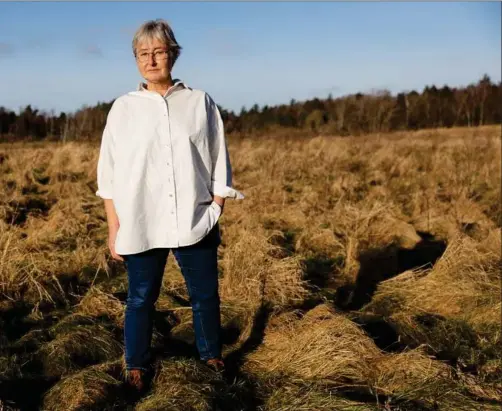  ?? ?? 60-årige Connie Roesgaard har det meste af karrieren arbejdet på travle byggeproje­kter som arbejdsmil­jøingeniør. Nu bremser hun op og vil arbejde mindre. Foto: Gregers Tycho