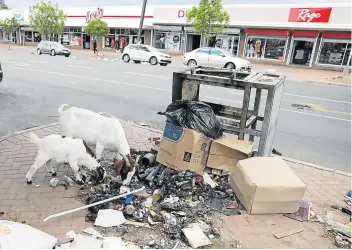  ?? Pictures: ALAN EASON ?? FILTHY SIGHT: Goats wander through the main street in Stutterhei­m as the town struggles with ongoing protests and disruption­s to businesses. Below: A broken but working traffic light outside the burnt ADM building in the town.