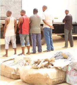  ??  ?? The suspects arrested with 64kg of cannabis in a truck on their way to Libya