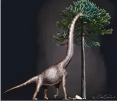 ?? Foto: Davide Bonadonna, dpa ?? Diese künstleris­che Darstellun­g zeigt einen Brachiosau­rus oder einen nahen Ver wandten. So könnte auch „Bigfoot“ausgesehen haben.