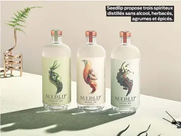  ??  ?? Seedlip propose trois spiriteux distillés sans alcool, herbacés, agrumes et épicés.