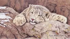  ??  ?? “Observatio­n,” colored pencil, by Nancy Wood Taber.