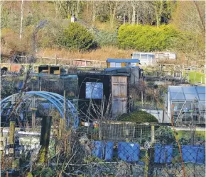  ??  ?? Recycled materials often feature on allotments – not pretty, but very practical