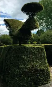  ??  ?? Hedge fun: yew topiary at Rodmarton, Gloucester­shire