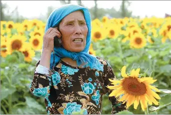  ?? SEAH KWANG PENG / FOR CHINA DAILY ?? A woman makes a phone call in the field of sunflowers in Minqin county, Gansu province.