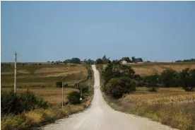  ?? Photograph: Joseph Cress/Iowa City Press-Citizen ?? A gravel road leading to the location of where Michael Williams’s body was found in Jasper county, Iowa.