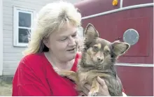  ?? ANDREW VAUGHAN/THE CANADIAN PRESS ?? Angela Welburn holds Boogie at Integrity’s Haven Equine Rescue Centre in Chester Basin, N.S., on Sunday. Welburn rescues sick and senior animals that would otherwise be put down.