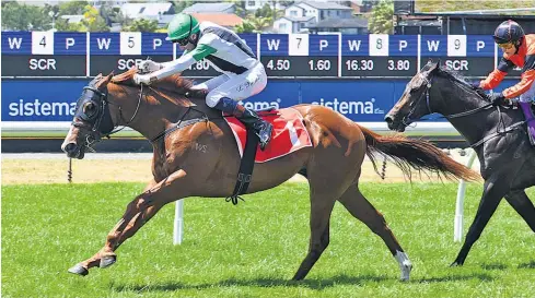  ?? Picture / Race Images ?? Felton Road extended his unbeaten record with a convincing win at Ellerslie this month and shares favouritis­m for the Karaka Million.