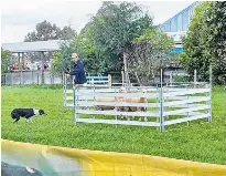 Farming cadets impress at sheep dog trials - PressReader