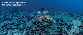  ?? ALEXIS ROSENFIELD ?? A diver carries light across the newly discovered reef