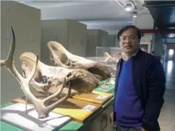  ??  ?? Paleontolo­gist Deng Tao