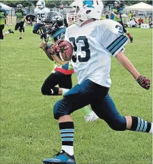  ?? ED TELENKO SPECIAL TO ST. CATHARINES STANDARD ?? Niagara Falls' Michael Grimo, with the ball, on his way to scoring a touchdown in Football Niagara's bantam division.