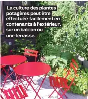  ?? ?? La culture des plantes potagères peut être effectuée facilement en contenants à l’extérieur, sur un balcon ou une terrasse.