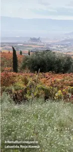  ?? ?? A Remelluri vineyard in Labastida, Rioja Alavesa