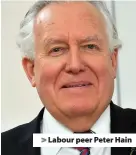  ??  ?? > Labour peer Peter Hain