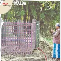  ??  ?? Mourning Afrajul’s grave in Malda’s Sayedpur village. More than 1,000 men from the village and surroundin­g pockets participat­ed in the funeral to show solidarity with the deceased and his family.