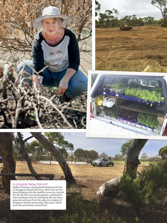  ??  ?? CLOCKWISE FROM TOP LEFT
Sophie omson among plants destroyed by re on Kangaroo Island; the army, which was on the island helping with the bush re recovery, cleared the site for the community garden; a ute loaded with seedlings from the mainland; the site has a separate entrance from the adjacent campus of Kangaroo Island Community Education, which owns the previously unused land.