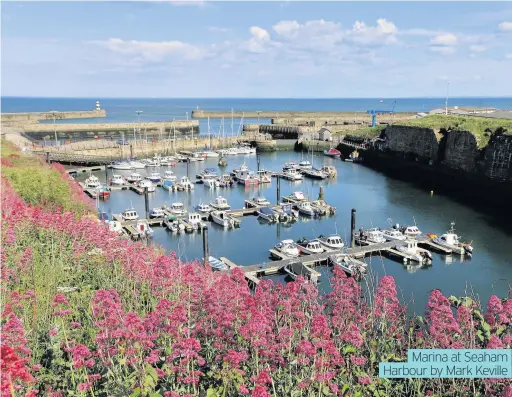  ??  ?? Marina at Seaham Harbour by Mark Keville