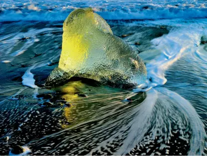  ??  ?? Ballotté par l’océan, usé, poli par les vagues, un iceberg devenu glaçon achève sa course sur la grève noire de la côte sud islandaise, sous l’éclat d’un soleil hivernal (ci-contre). L’Ol Doinyo Lengaï, en Tanzanie est le seul volcan au monde à...