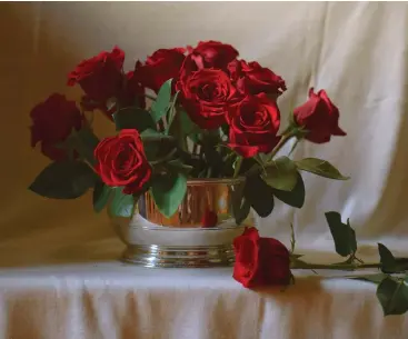  ??  ?? My photo reference of red roses in a silver bowl