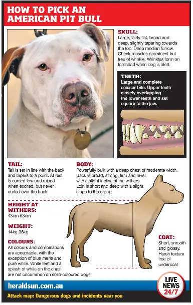 Evil Dogs Cull Pressreader