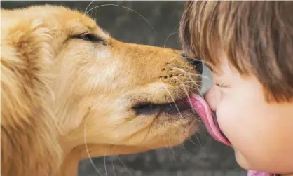  ?? Photograph: Alamy Stock Photo ?? Dogs, children and meat-eating all have an ecological impact.
