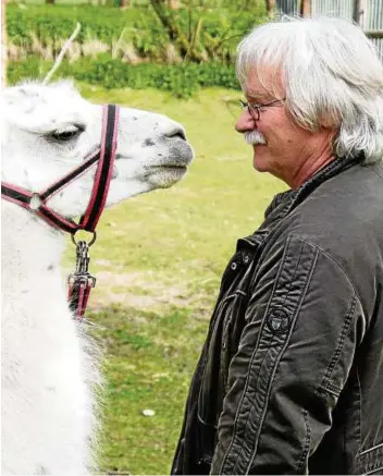  ??  ?? Der Autor Ulf Annel mit einem Unstrutlam­a. Zur Lesung am . Oktober im Erfurter Haus am Breitstrom (Ratsgymnas­ium) bringt er aber seine Tochter, die Fotografin Juliane Annel , mit. Foto: Juliane Annel