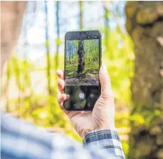  ?? FOTO: MORITZ FRANKENBER­G/DPA ?? Rolf Jantz, aktiver Naturgucke­r, fotografie­rt mit einer Smartphone-App einen Baumstamm, um den Baum zu bestimmen.